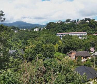Yawatano House | ファミーユグループ城ケ崎店 海音Umine