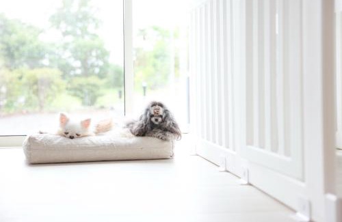 Nagawa Villa | ペットと泊まれるプライベートヴィラ Tous les doudou トゥレ ドゥドゥ