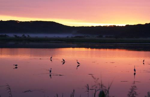 Hamanaka House | ポロト案内舎