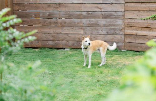 Sado Apartment | 大切なペットと一緒に泊まれる一棟貸し