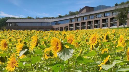Furano Hotel | 富良野ホテル Furano Hotel