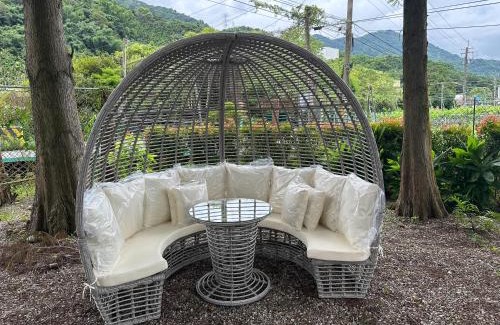 Guoxing Cabin | 寵物友善 漫步森活 九樺落羽松民宿