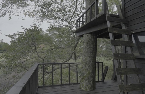 Shibetsu House | 小さな森の貸し切り宿Forest-House-Ranapirica