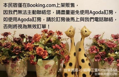 Taitung City Centre House | 小貓兩三隻民宿 Kittens B&B 貓咪民宿&寵物友善