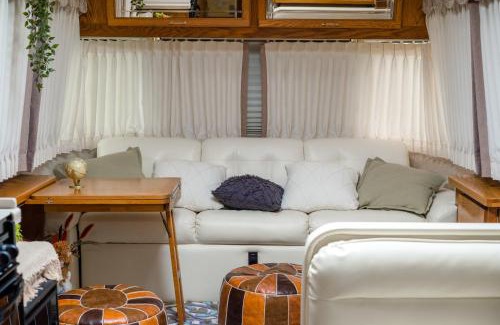 Zhuolan Other | 橘舍三食OrangeFarmerlife