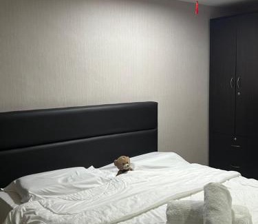 Bandar Baru Permas Jaya House | 派星星