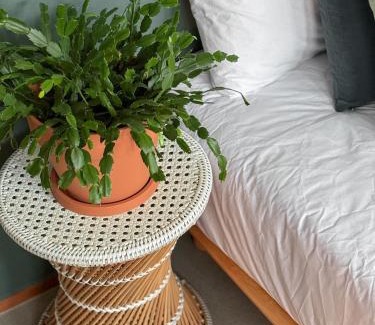 Hoehyeon-dong Apartment | 명동, 남대문 7분! 2층 복층 2룸 하우스