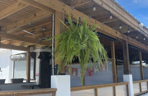 Mayaguez Apartment | #1 Asia Italy Sea View Apts