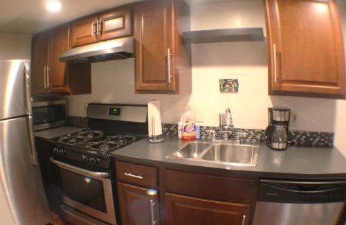 South Side Flats Apartment | 1 Bed Apt - Amazing Location 1 Block to Carson St