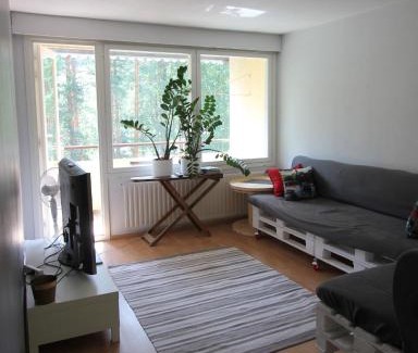 Heinola Apartment | 1-Bedroom Apartment with Sauna