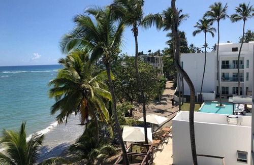 Cabarete Apartment | 1 Bedroom Garden View Presidential Suites Cabarete