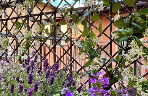 Valeggio sul Mincio Apartment | 1 Bedroom Apartment in Valeggio sul Mincio