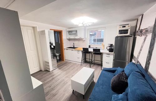 Ilversgehofen Apartment | 1-Raum Ferienwohnung