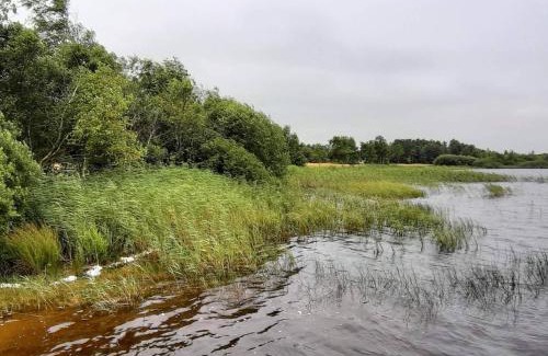 Ansager House | 10 person holiday home in Ansager