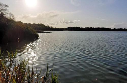 Ansager House | 10 person holiday home in Ansager