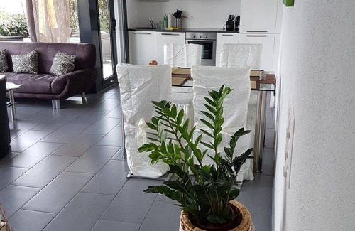 Brissago Apartment | 100 m² Apartment ∙ 2 bedrooms ∙ 4 guests