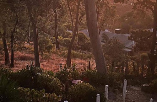 Castlemaine Bed & Breakfast | 105 m² Bed and breakfast ∙ 2 bedrooms ∙ 6 guests