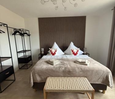 Mietersheim Apartment | 120 m Penthouse Europa Park - Straßburg - Colmar