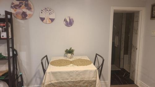 The Pocket Apartment | 132 Chatham ave