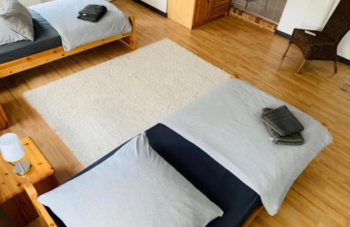 Gross-Umstadt Apartment | 140 qm großes Loft mit 2 eigenen Schlafzimmern im Fabrikstil - direkt in Groß-Umstadt - 300 m bis zum Marktplatz