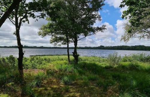 Ansager House | 16 person holiday home in Ansager-By Traum