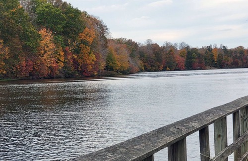 Franklinville House | 1BD Cottage - Walk to Deep River in Historic Franklinville