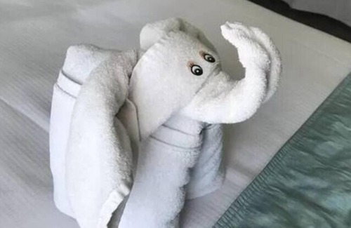 Isla Iguana Condo | 1BD Mayan Palace: Stunning Resort in Vallarta