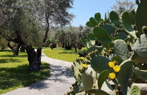 Isca Marina Apartment | 1BR Alloggio Apartment