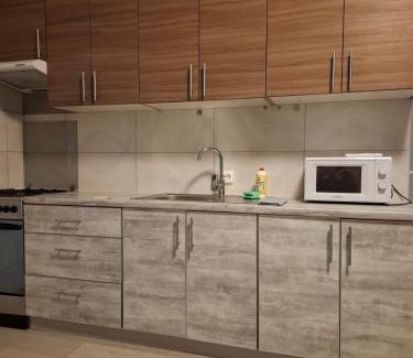 Chernovtsy Apartment | 2х кімнатна апартаменти на Кобилянській