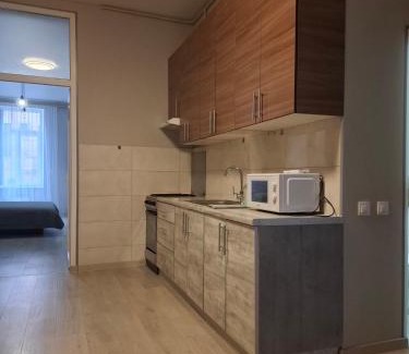Chernovtsy Apartment | 2х кімнатна апартаменти на Кобилянській
