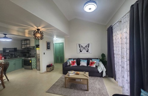Barahona Apartment | 2-bdrm Penthouse apt, private rooftop with Bay views, AC, WiFi, BBQ, Parking +