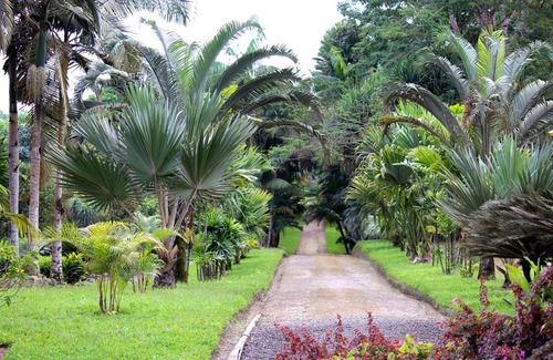 Corales del Sur Apartment | 2 Bedroom-apartment 4 Beds in Corales del Sur - Parque del Este - SQD Airport