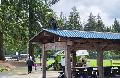 Coquitlam House | 2 Bedroom Basement Suite for Max 4 Adults/kid