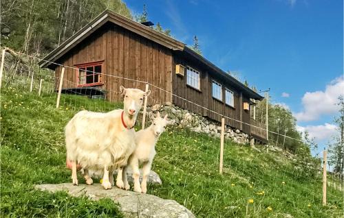 Rauland House | 2 Bedroom Stunning Home In Rauland