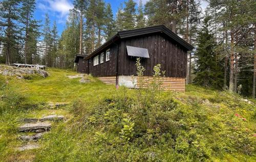 Asnes Municipality House | 2 Bedroom Stunning Home In Kirkenær