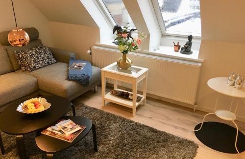 Frederikshavn Apartment | 2 BR apartment on walk street