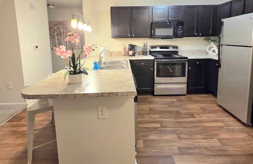 Fort Mill Apartment | 2 King Beds—7 Day Minimum Stay—Free Parking & Wi-Fi