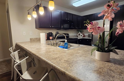 Fort Mill Apartment | 2 King Beds—7 Day Minimum Stay—Free Parking & Wi-Fi