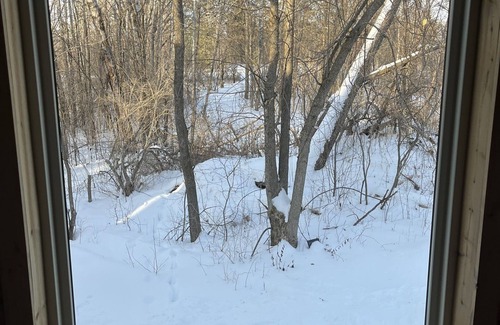 Grandy Cabin | 2 Lakeside Treehouse Cabins+Sauna+Hot Tub+Cold Tub