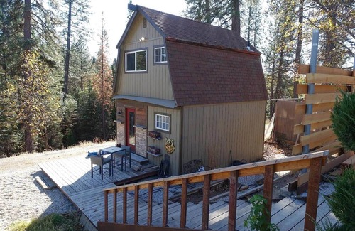 Georgetown Cottage | 2 story tiny house ready for your retreat in the woods. 4x4 and horses welcome!