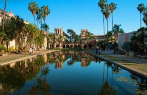 Old Town Apartment | 208 Bright 1BDR Downtown Parking WiFi Walk to All