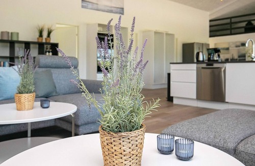 Grønhøj House | 22 person holiday home in Løkken-By Traum