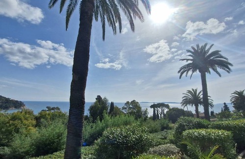 Rayol-Canadel-sur-Mer Apartment | 27 m² Apartment ∙ 1 bedroom ∙ 4 guests