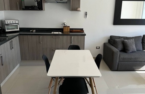 Las Gaviotas Apartment | 2BR- 2BA Golden Zone penthouse 300meter to Beach + Malecon ocean + island view