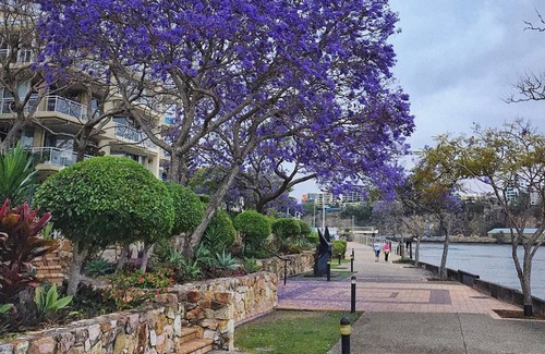 Kangaroo Point House | 2BR Beautiful River Retreat Pool Wine Gym Netflix