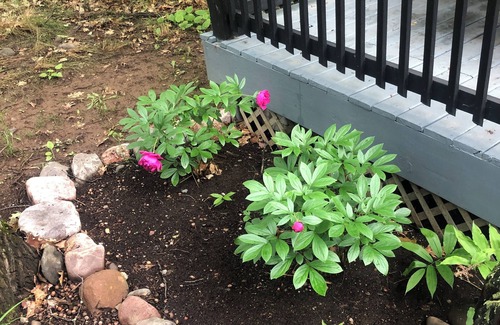 Manitowish Waters Cabin | 3-bedroom cabin - Manitowish Waters Chain of Lakes! Next To Town!