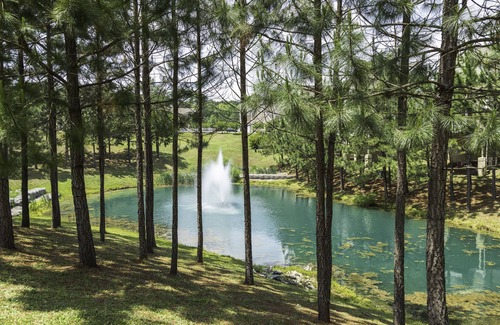 Lackey House | 3 bedroom Estate near Busch Gardens