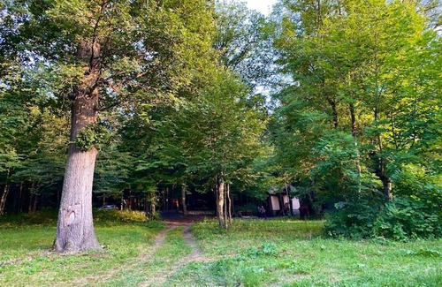 Kaputan Villa | 3 Bedroom House In The National Park of Dilijan