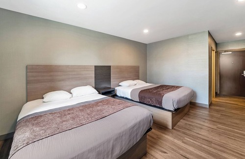 Foxboro Hotel | 3 Comfortable Units Near Nature Trail & Cranberry Bog, FREE Breakfast & Parking!