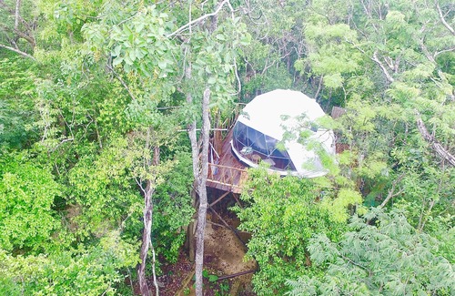 Tulum Cabin | 3 min walk to cenotes - Jungle Treehouse Experience -jungle glamping adventure